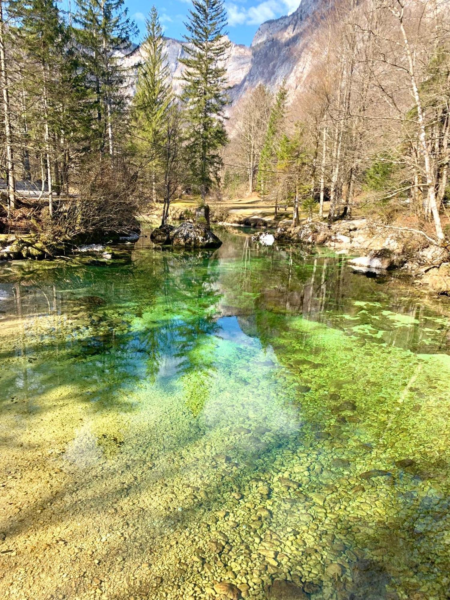 Apartments Bb Bohinj Eksteriør bilde